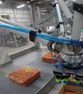 ABB Robotics IRB 390 FlexPacker thumbnail 3