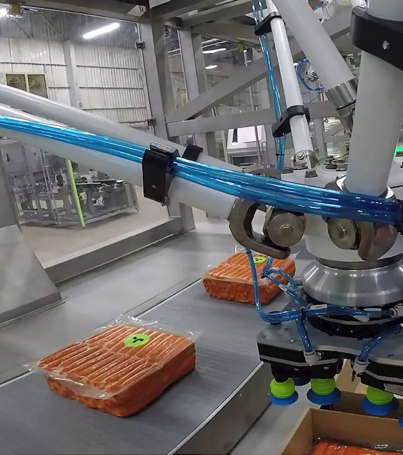 ABB Robotics IRB 390 FlexPacker — view 3